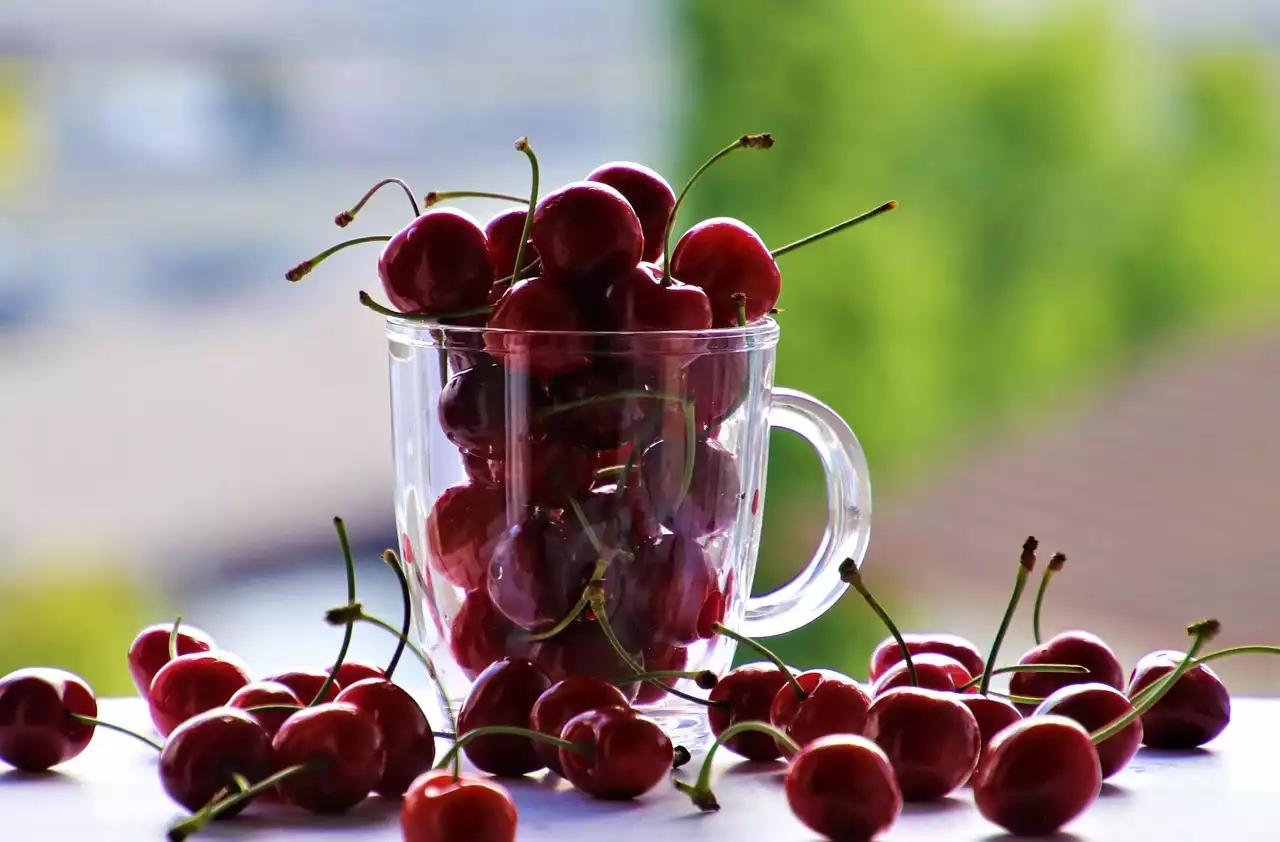 Los beneficios para la salud de comer productos locales y de temporada