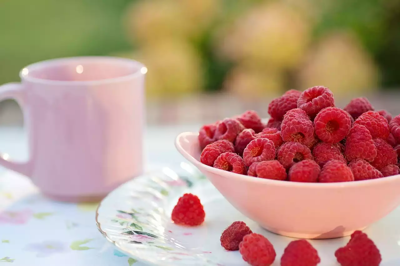 Por qué debería comer más frutos secos y semillas: beneficios para la salud, tipos y sostenibilidad